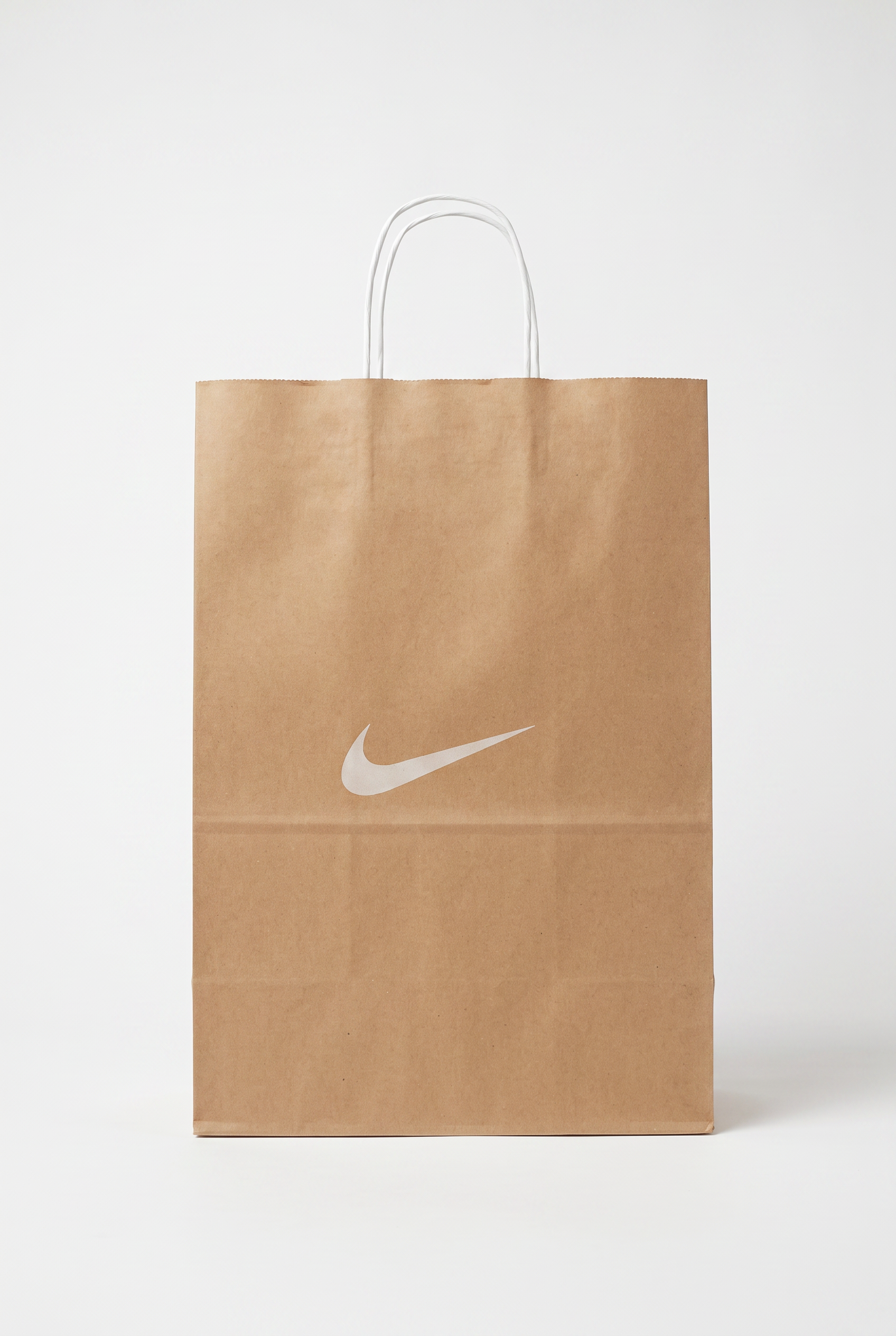 Twist Handle Kraft Bag